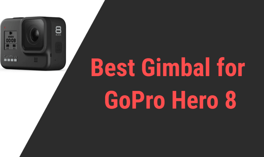 Best Gimbal for GoPro Hero 8 in 2024 | Reviews & Comparison