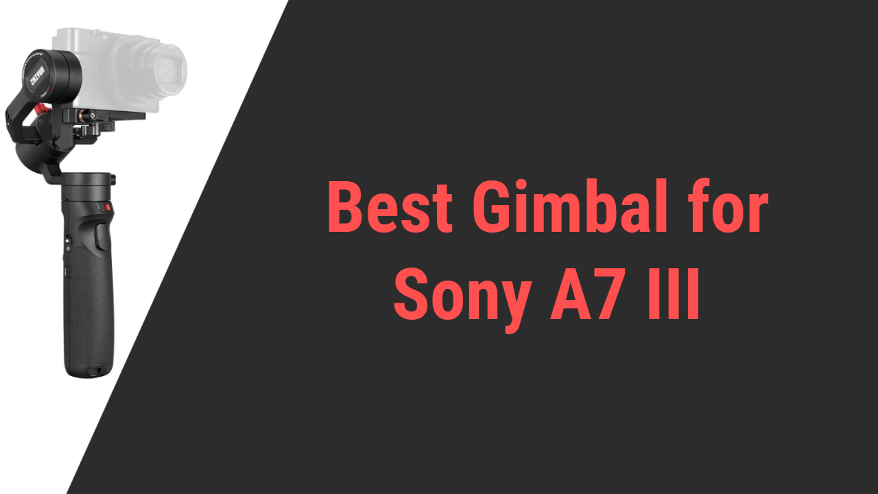 Caracterizar cigarro bolígrafo Top 6 Best Gimbal for Sony A7III in 2022 | Comparison & Reviews »  Gimbalinsider.com