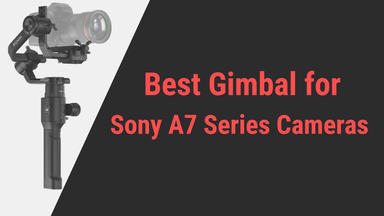 Best Gimbal for Sony A7 Series Cameras