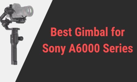 Best Gimbal for Sony A6000 Series