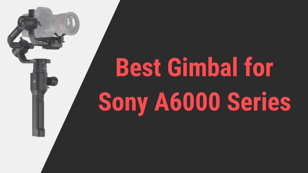 Best Gimbal for Sony A6000 Series