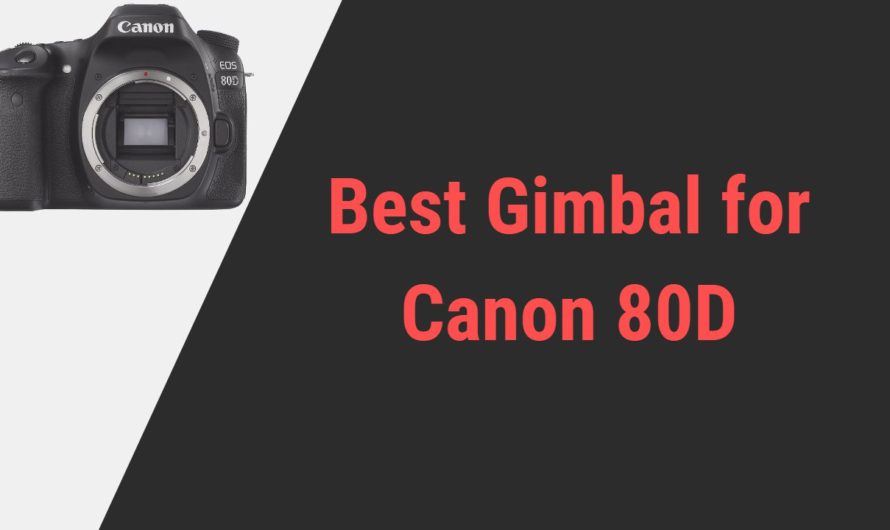 Best Gimbal for Canon 80D Camera | Reviews of 2024