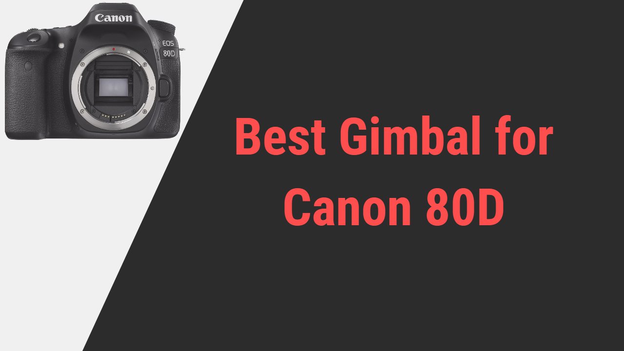 Best Gimbal for Canon 80D