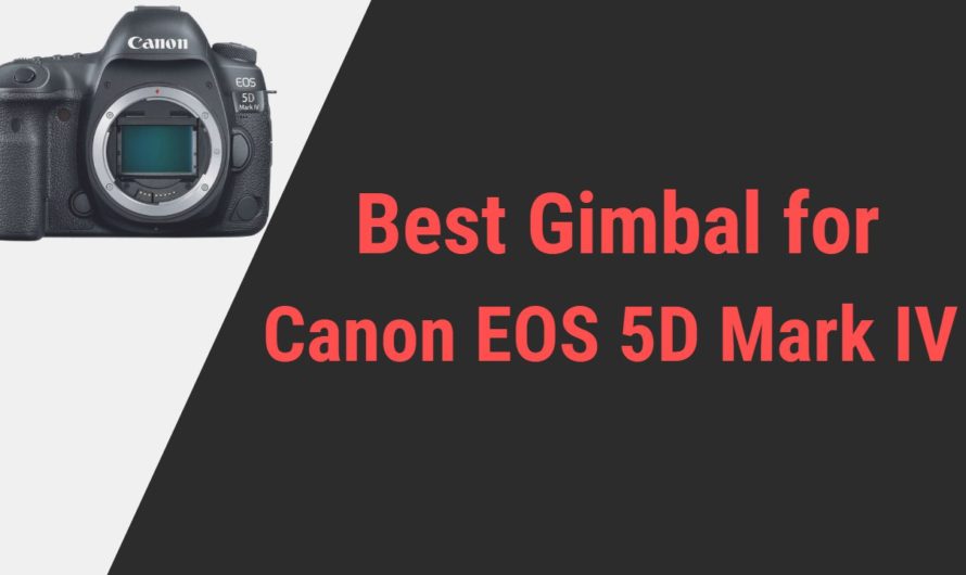 Best Gimbal for Canon EOS 5D Mark IV Camera | Reviews of 2024