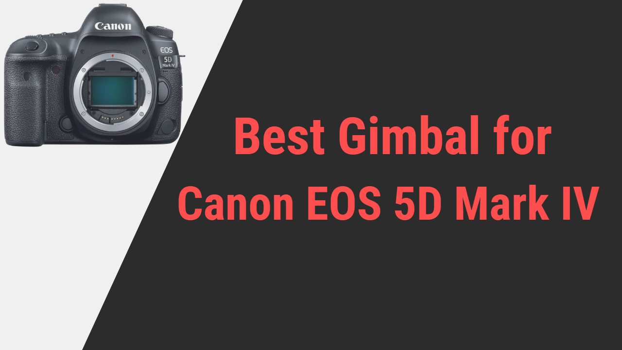 Best Gimbal for Canon EOS 5D Mark IV
