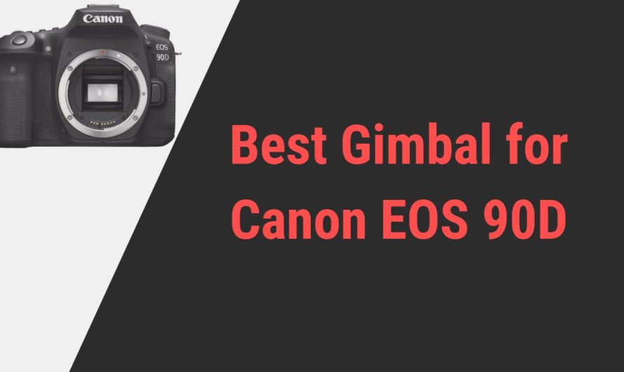 Best Gimbal for Canon 90D | Reviews of 2024