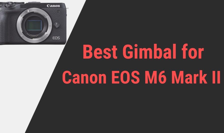 Best Gimbal for Canon EOS M6 Mark II Camera | Reviews