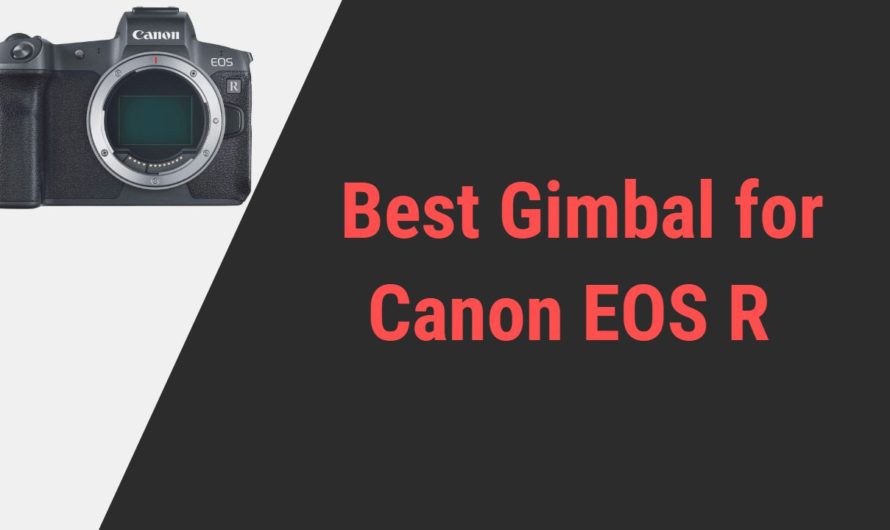 Best Gimbal for Canon EOS R | Reviews of 2024