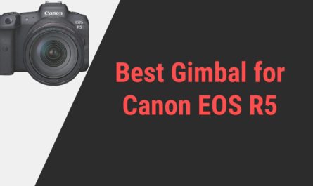 Best Gimbal for Canon EOS R5