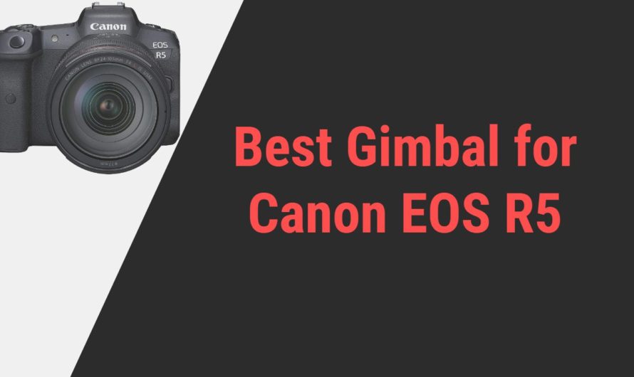 Best Gimbal to Pick for Canon EOS R5 Camera | Reviews & Guide
