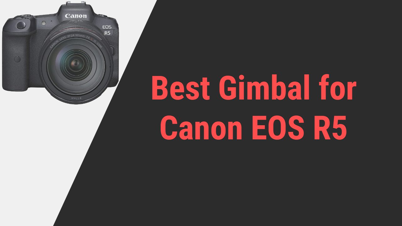 Best Gimbal for Canon EOS R5