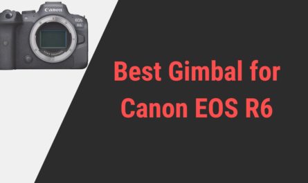 Best Gimbal for Canon EOS R6