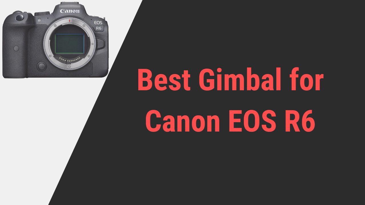 stabilizer for canon 5d mark iv