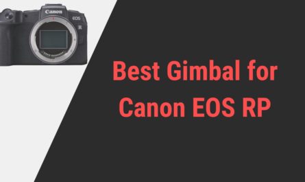 Best Gimbal for Canon EOS RP