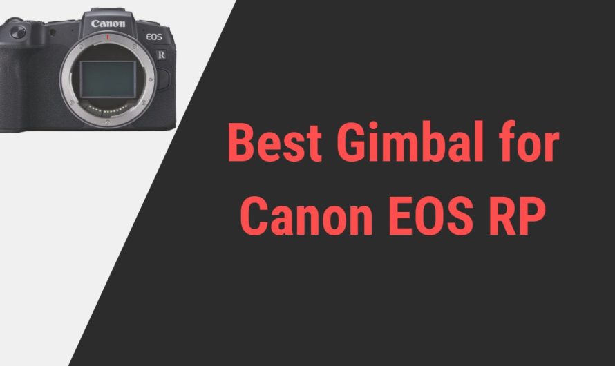 Best Gimbal Options to Find for Canon EOS RP | Reviews of 2024