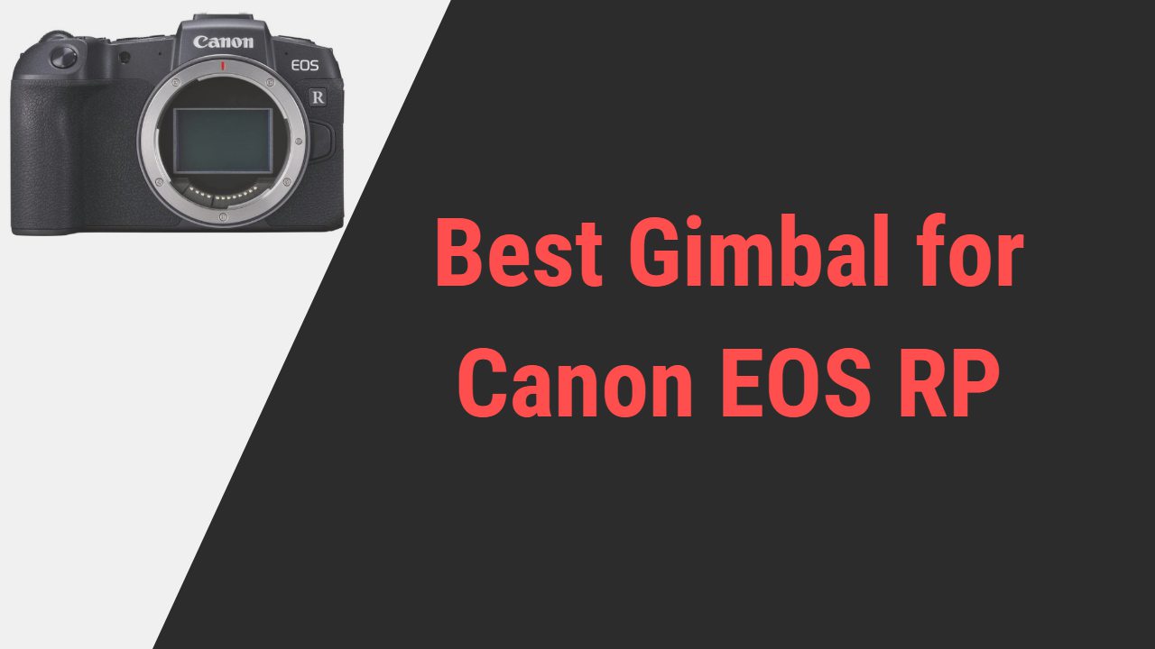 Best Gimbal for Canon EOS RP