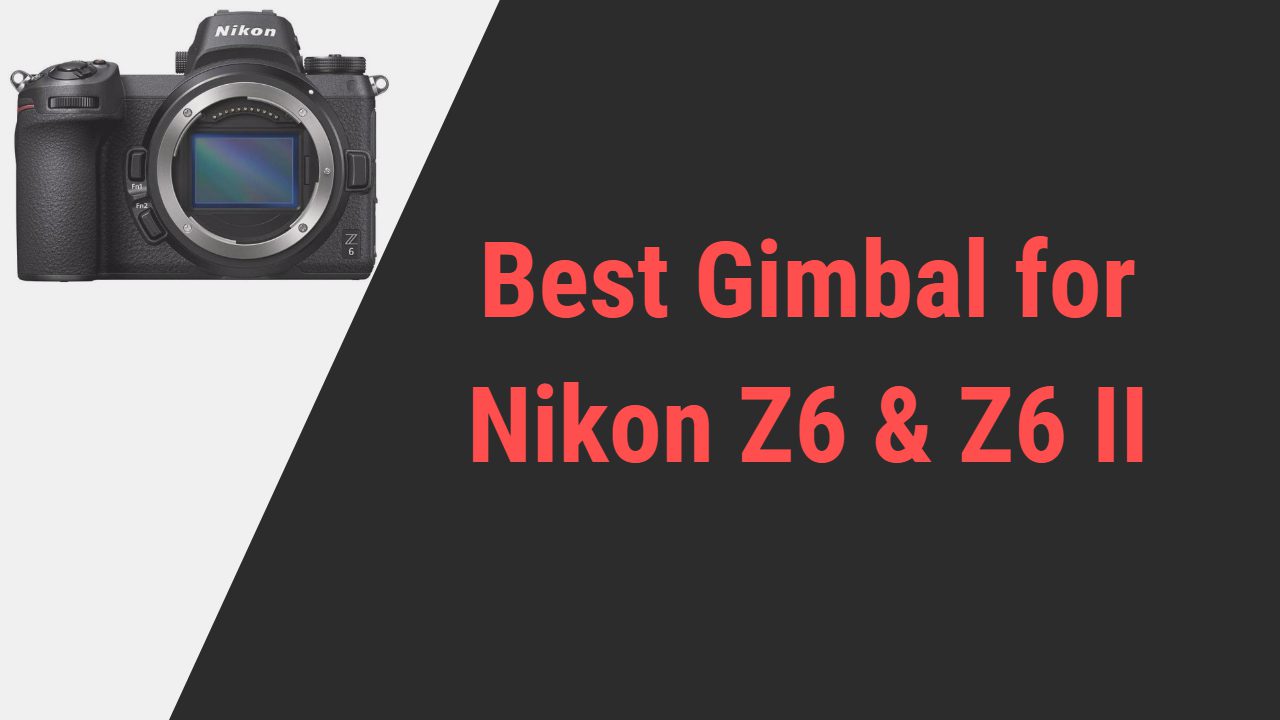 Best Gimbal for Nikon Z6 and Z6 II