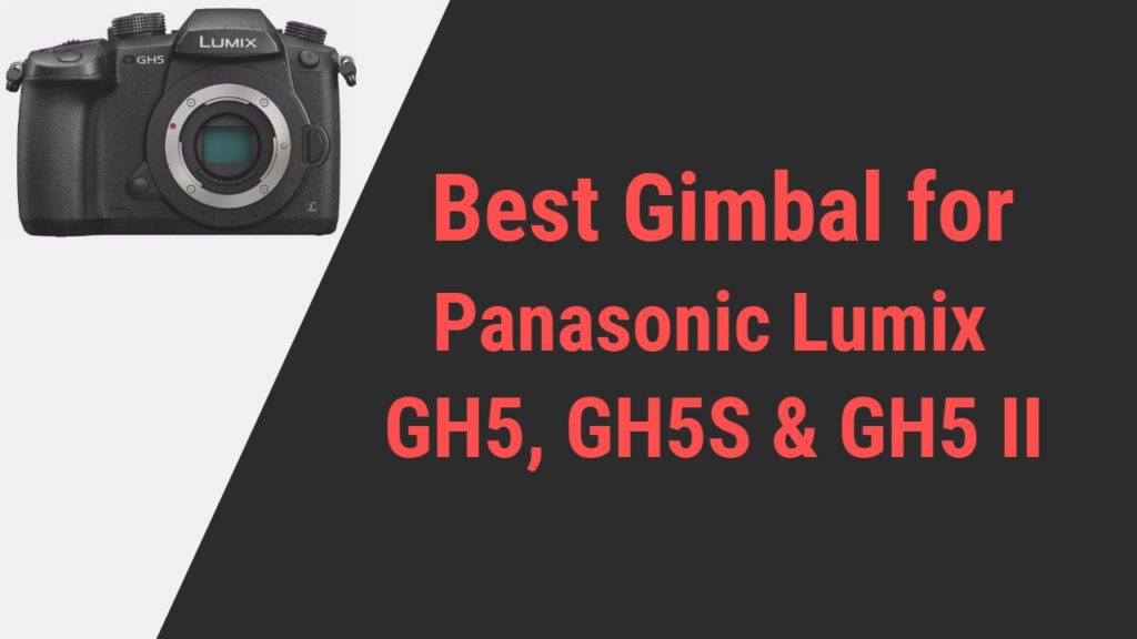 Best Gimbal for Panasonic LUMIX GH Series