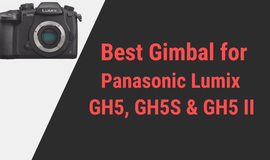 Best Gimbal for Panasonic Lumix GH5S and GH5 II