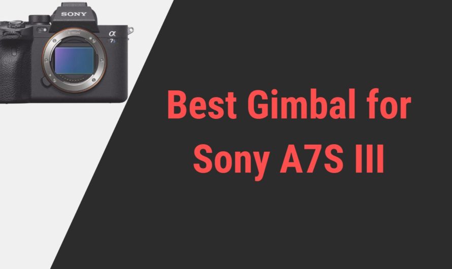 Best Gimbal for Sony A7S III Camera | Reviews & Guide