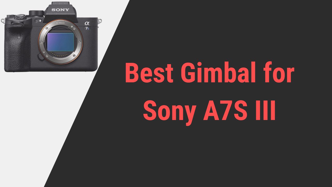 Best Gimbal for Sony A7S III