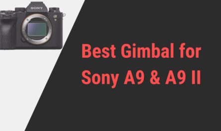 Best Gimbal for Sony A9 and A9 II