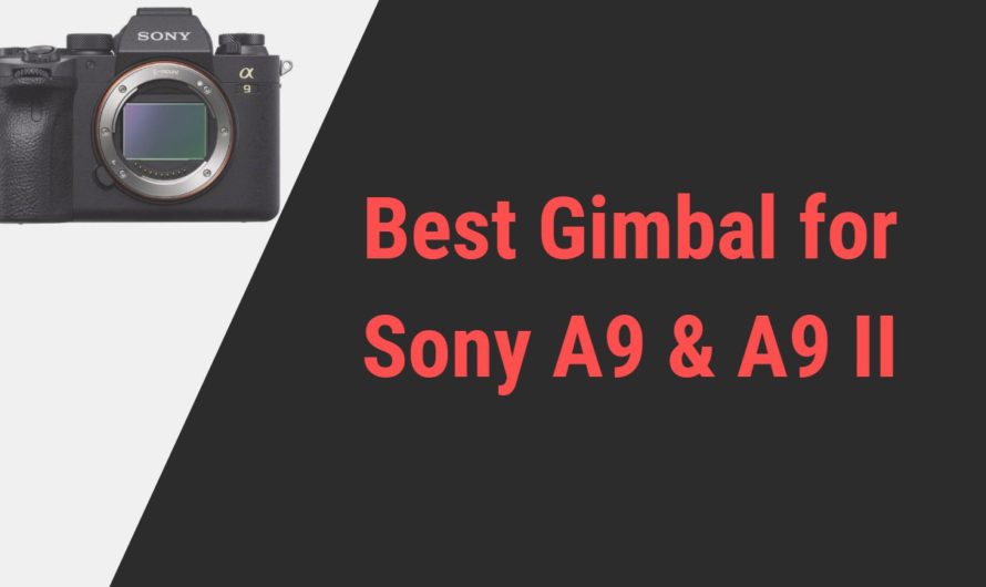 Best Gimbal for Sony A9 & A9 II | Reviews and Info