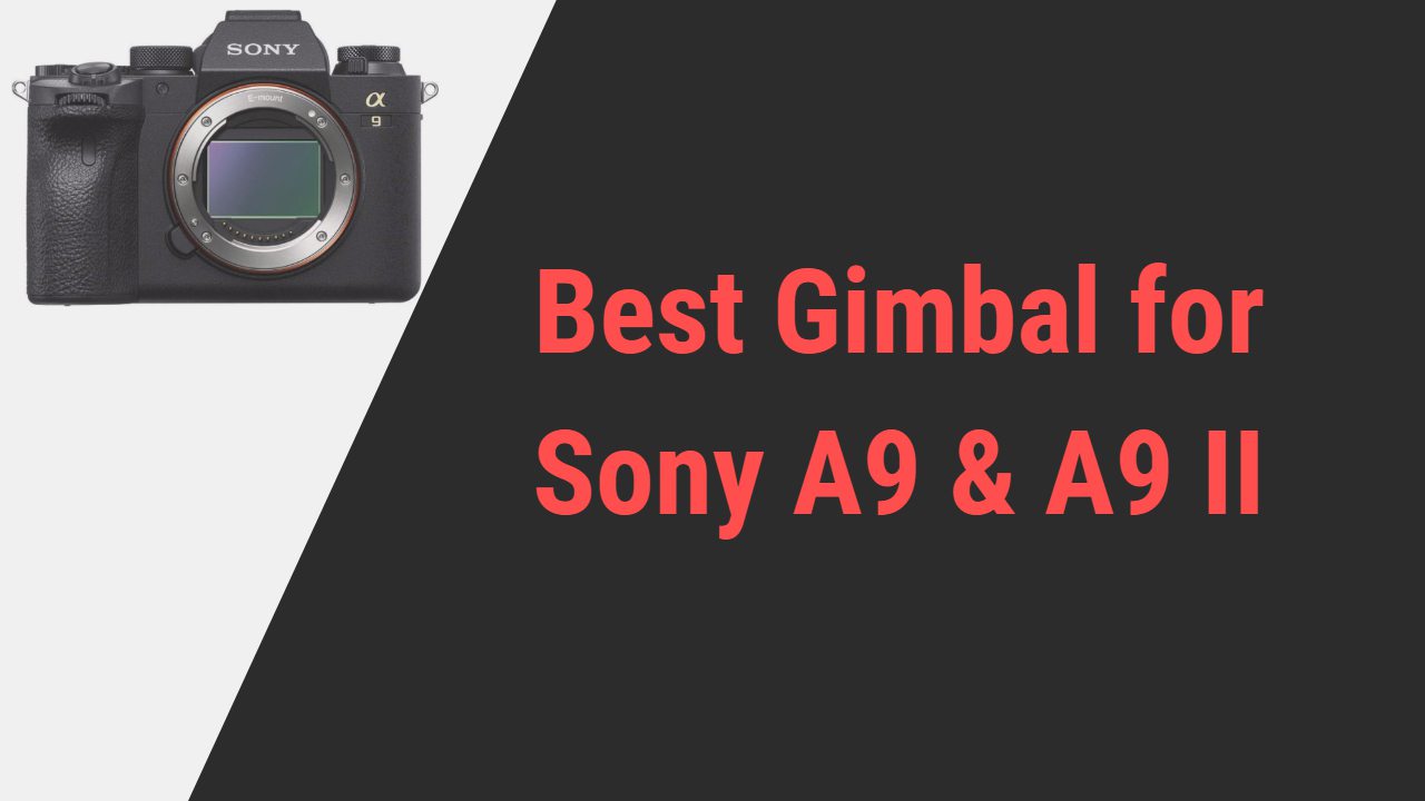 Best Gimbal for Sony A9 and A9 II
