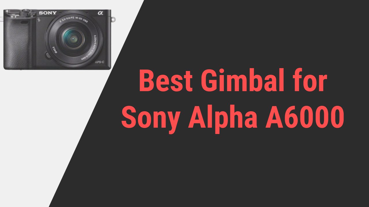 Best Gimbal for Sony Alpha A6000