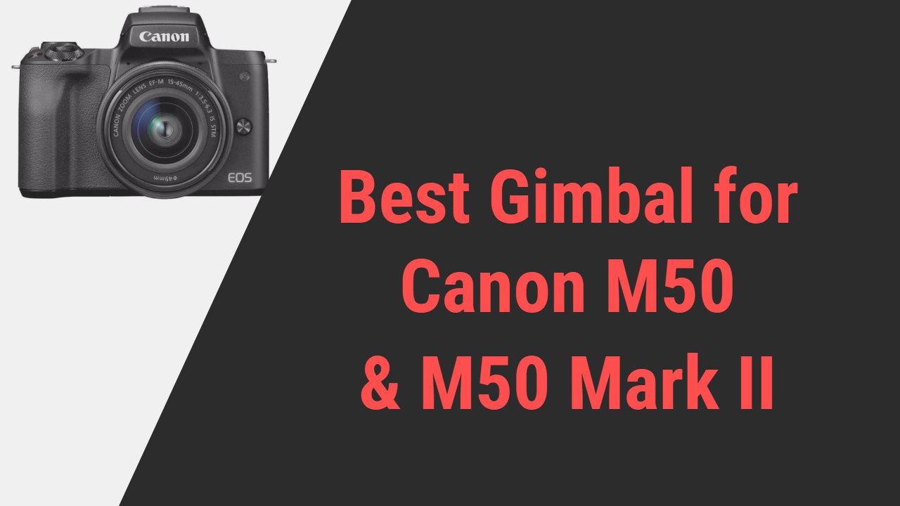 best gimbal for Canon M50