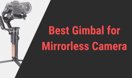 Best Gimbal for Mirrorless Cameras