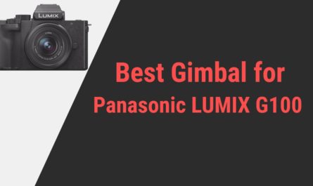 Best Gimbal for Panasonic LUMIX G100