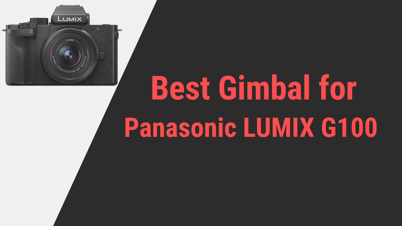 Best Gimbal for Panasonic LUMIX G100