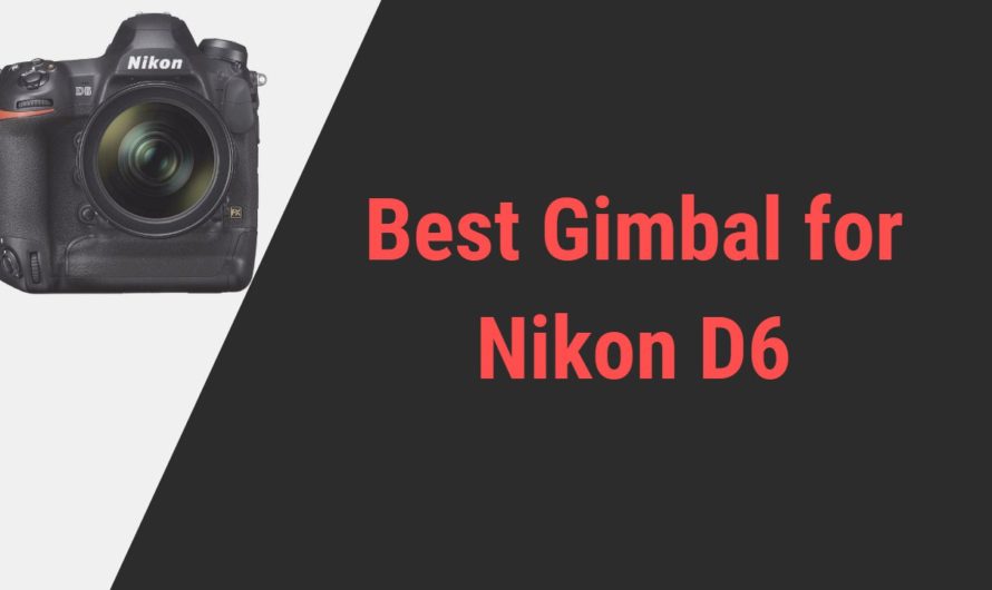 Best Gimbal for Nikon D6 DSLR Camera