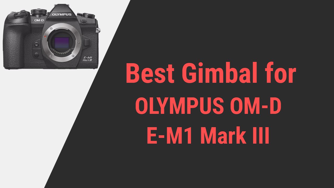 Best Gimbal for OLYMPUS OM-D E-M1 Mark III