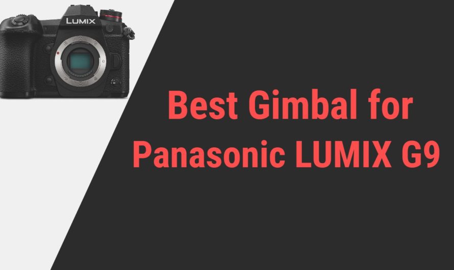 Best Gimbal for Panasonic LUMIX G9 Camera