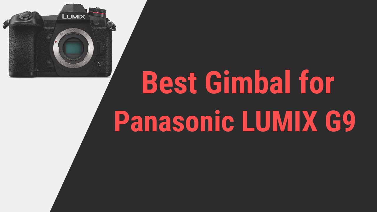 Best Gimbal for Panasonic LUMIX G9