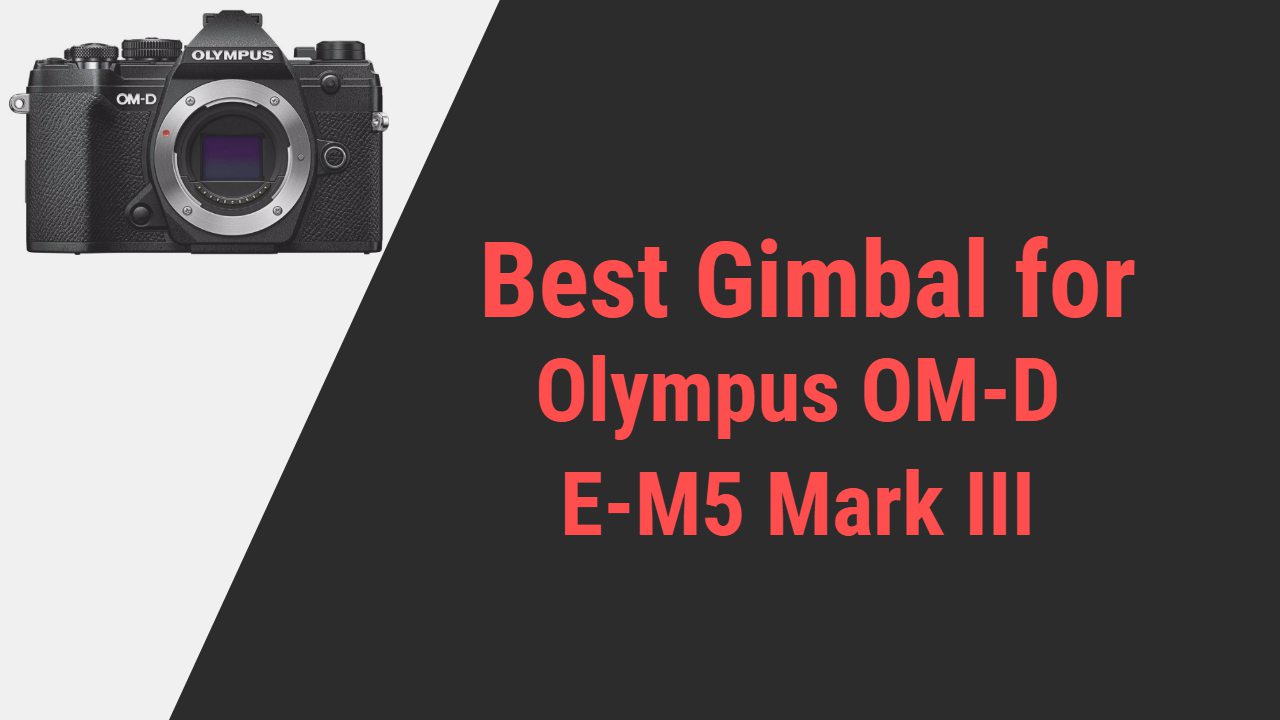 Best gimbal for Olympus OM-D E-M5 Mark III