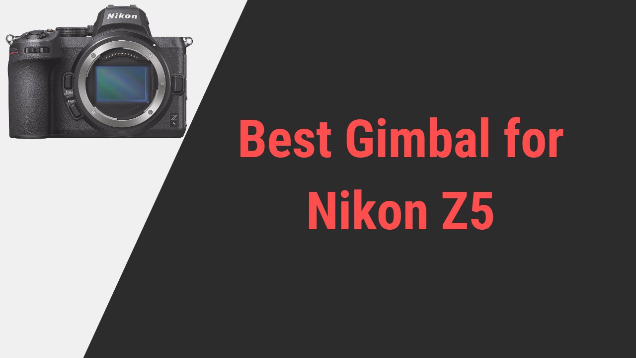 Best Gimbal for Nikon Z5