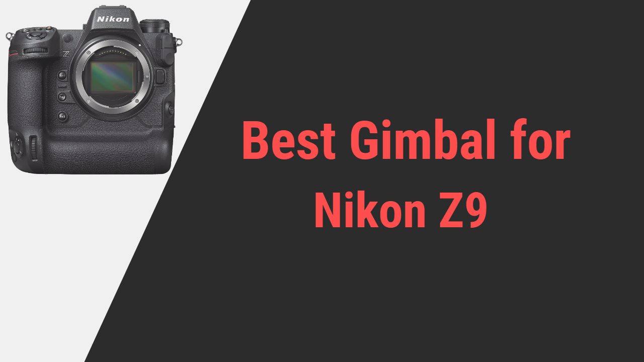 Best Gimbal for Nikon Z9