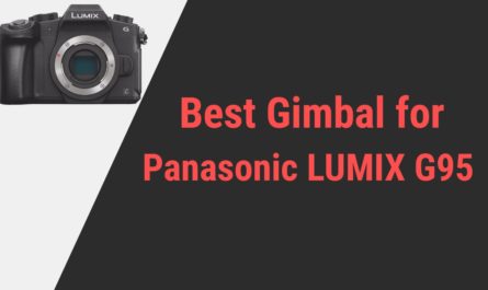 Best Gimbal for Panasonic LUMIX G95