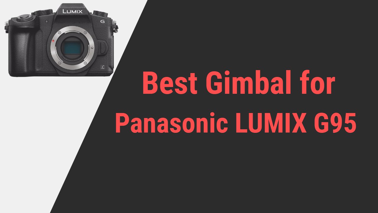 Best Gimbal for Panasonic LUMIX G95