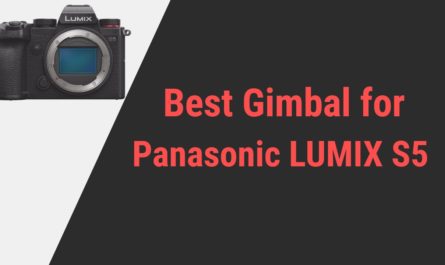 Best Gimbal for Panasonic LUMIX S5