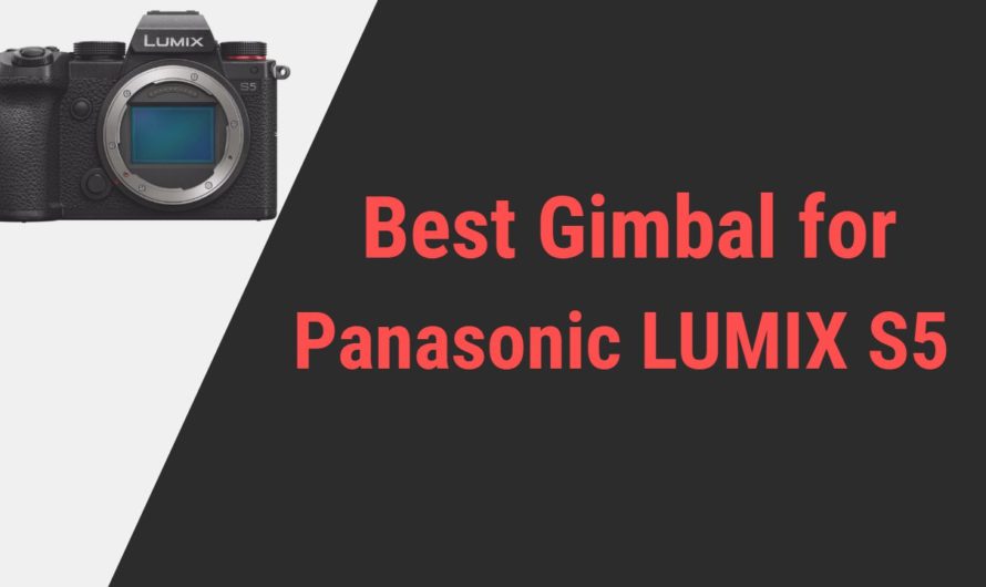 Best Gimbal for Panasonic LUMIX S5 Camera