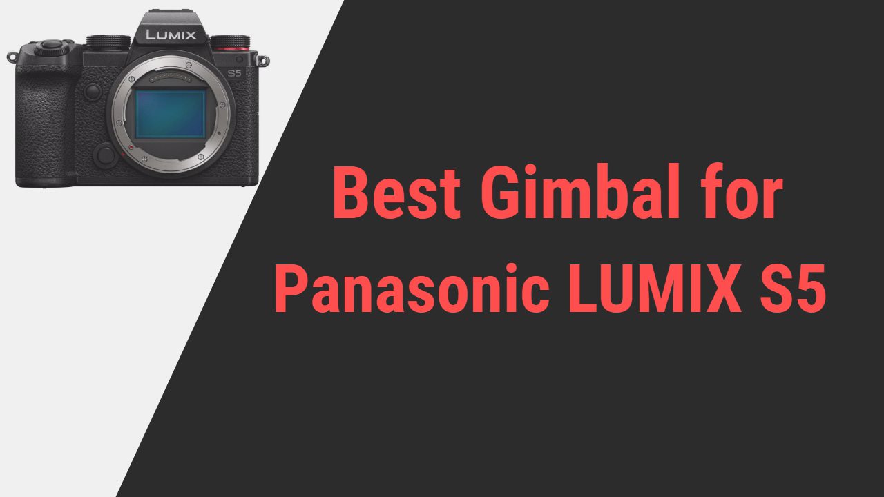 Best Gimbal for Panasonic LUMIX S5