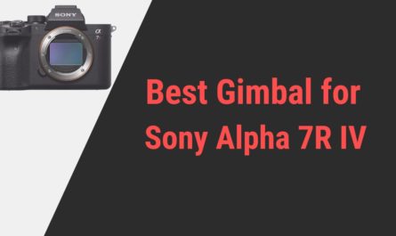 Best Gimbal for Sony Alpha 7R IV