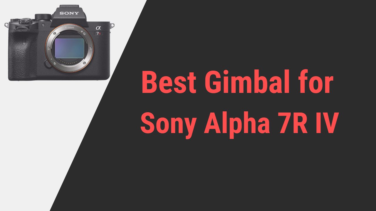 Best Gimbal for Sony Alpha 7R IV