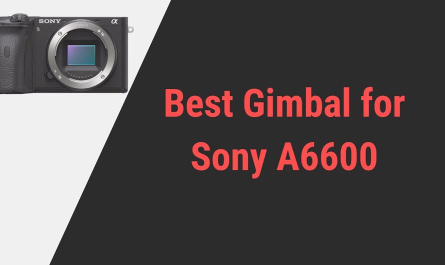 Best Gimbals to Explore for Sony A6600 | Reviews of 2024