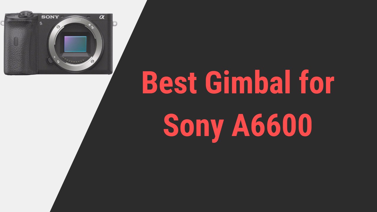 Best Gimbal for Sony A6600