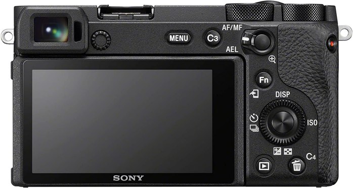 Sony Alpha A6600